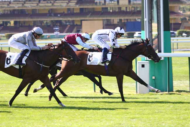 Photo d'arrivée de la course pmu PRIX D'ARENBERG à LONGCHAMP le Jeudi 2 septembre 2021