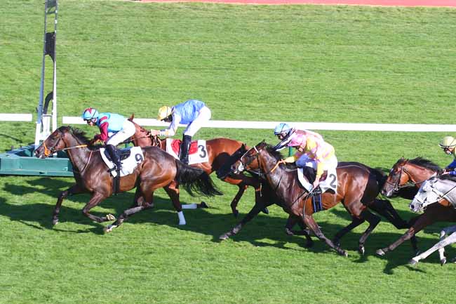 Photo d'arrivée de la course pmu PRIX DE LISBONNE à LONGCHAMP le Jeudi 2 septembre 2021