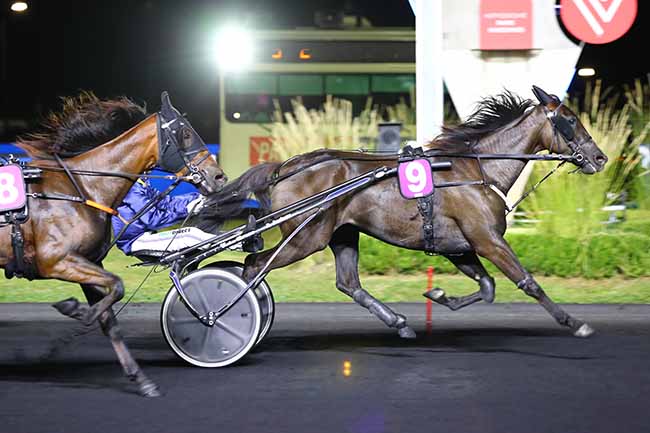 Photo d'arrivée de la course pmu PRIX HELENA à PARIS-VINCENNES le Vendredi 3 septembre 2021