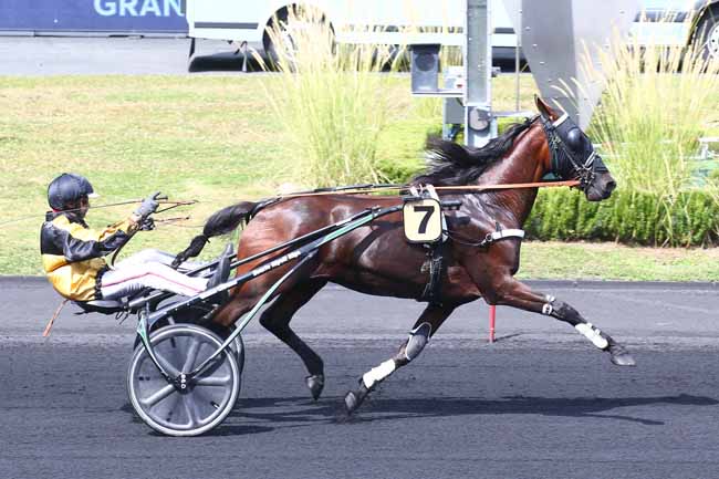 Photo d'arrivée de la course pmu PRIX DE PERPIGNAN à PARIS-VINCENNES le Samedi 4 septembre 2021