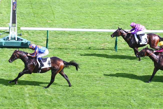 Photo d'arrivée de la course pmu PRIX DES CHENES à LONGCHAMP le Jeudi 9 septembre 2021