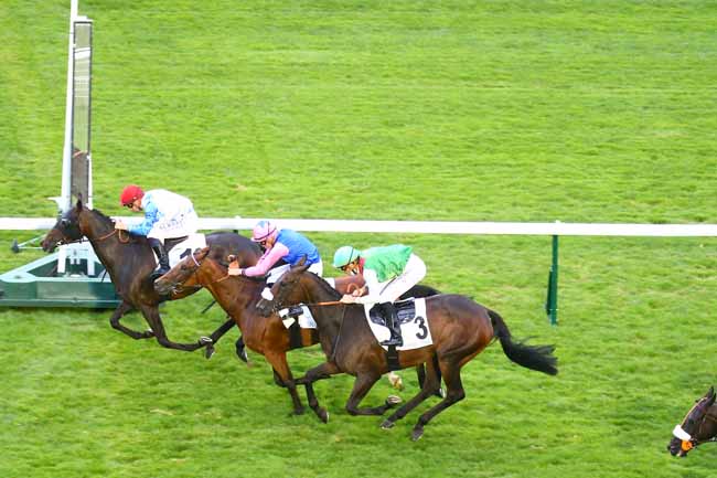 Photo d'arrivée de la course pmu PRIX DU PONT DE FLANDRES à LONGCHAMP le Jeudi 9 septembre 2021