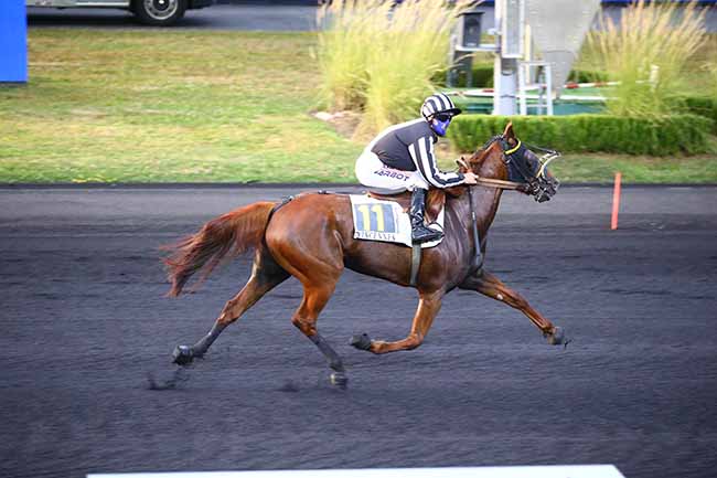 Photo d'arrivée de la course pmu PRIX DE DURTAL à PARIS-VINCENNES le Jeudi 9 septembre 2021