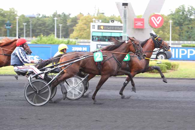 Photo d'arrivée de la course pmu PRIX EMILE WENDLING à PARIS-VINCENNES le Samedi 11 septembre 2021