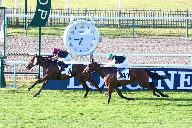 Photo d'arrivée de la course pmu PRIX DU CANAL DES MORFONDUS à CHANTILLY le Samedi 11 septembre 2021