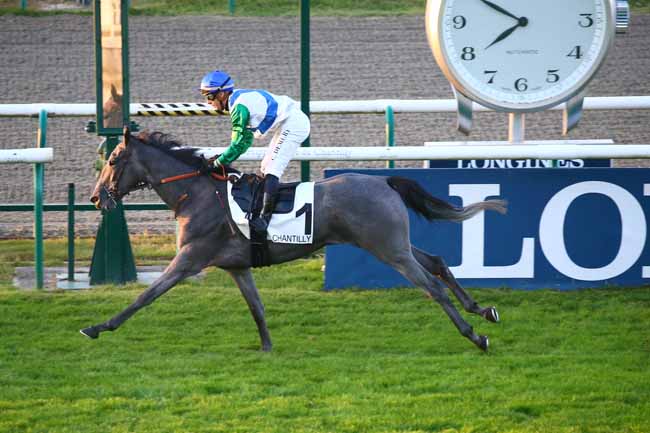 Photo d'arrivée de la course pmu PRIX DU MARAIS DOZET à CHANTILLY le Samedi 11 septembre 2021