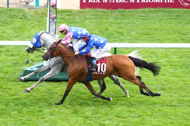 Photo d'arrivée de la course pmu QATAR CUP - PRIX DRAGON à LONGCHAMP le Dimanche 12 septembre 2021