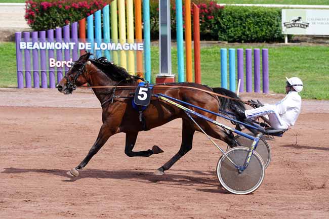Photo d'arrivée de la course pmu GRAND PRIX DYNAVENA MAISAGRI à BEAUMONT DE LOMAGNE le Lundi 13 septembre 2021