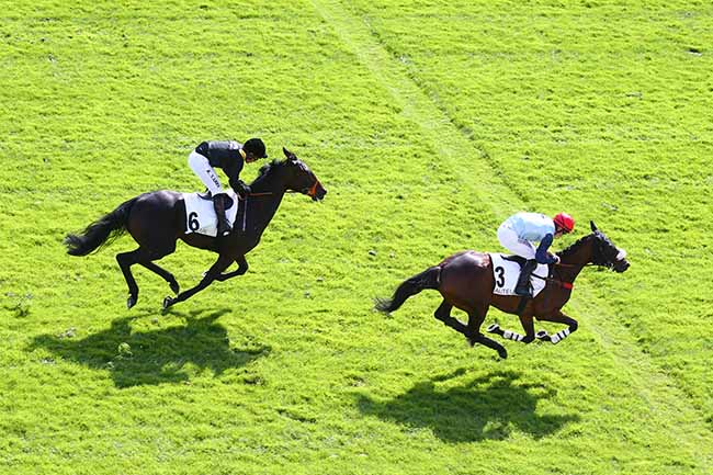 Photo d'arrivée de la course pmu PRIX FINOT (POULICHES) à AUTEUIL le Lundi 13 septembre 2021