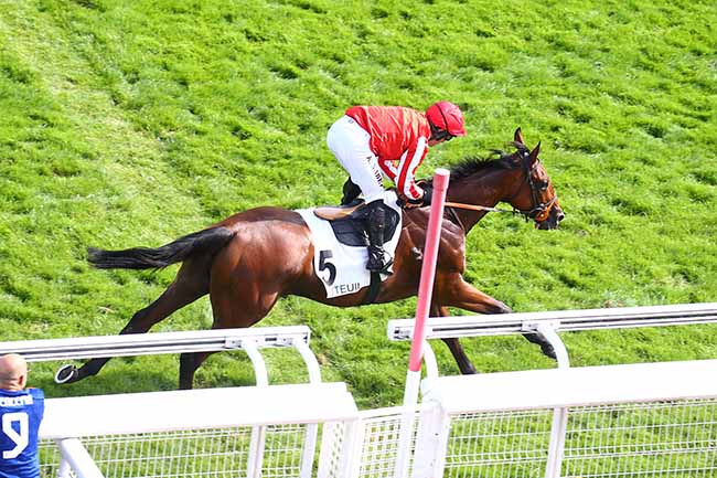 Photo d'arrivée de la course pmu PRIX MARLY RIVER à AUTEUIL le Lundi 13 septembre 2021