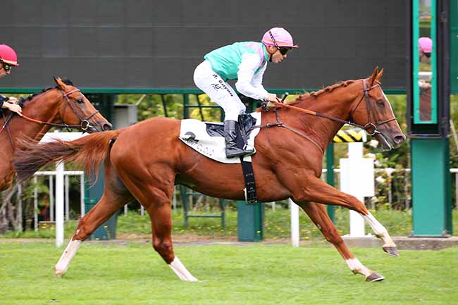 Photo d'arrivée de la course pmu PRIX KIZIL KOURGAN à SAINT CLOUD le Mardi 14 septembre 2021