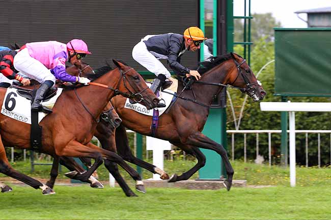 Photo d'arrivée de la course pmu PRIX DES TOURELLES - FONDS EUROPEEN DE L'ELEVAGE à SAINT CLOUD le Mardi 14 septembre 2021