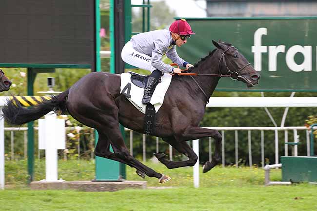 Photo d'arrivée de la course pmu PRIX DU HARAS DE LA HUME à SAINT CLOUD le Mardi 14 septembre 2021