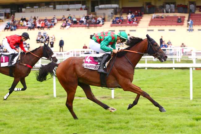 Photo d'arrivée de la course pmu PRIX GROUPAMA SARTILLY (PRIX COMMANDANT GUY DE PIBRAC) à CLAIREFONTAINE le Mardi 14 septembre 2021