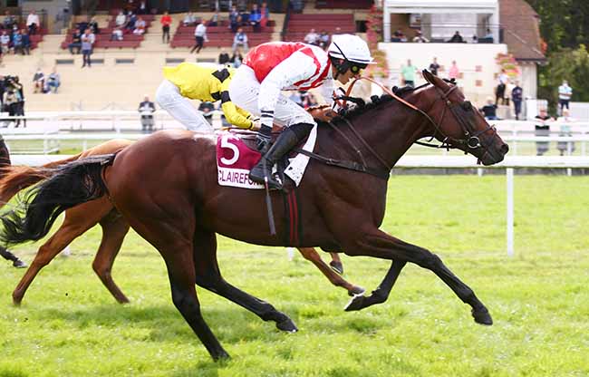 Photo d'arrivée de la course pmu PRIX HARAS DE VAINS - ETALON RAIL LINK (PRIX DES ETANGS DE SAINT-PIERRE) à CLAIREFONTAINE le Mardi 14 septembre 2021