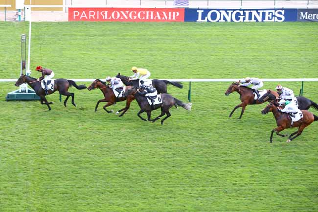 Photo d'arrivée de la course pmu PRIX DU QUAI AUX FLEURS à LONGCHAMP le Jeudi 16 septembre 2021