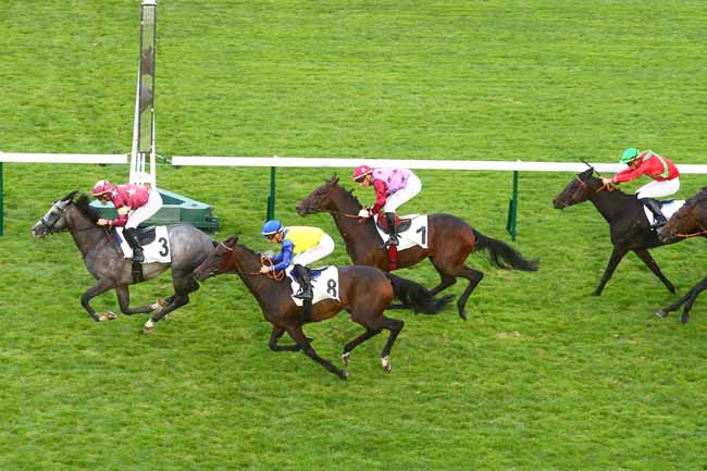 Photo d'arrivée de la course pmu GRAND PRIX DES ANGLO-ARABES à LONGCHAMP le Jeudi 16 septembre 2021