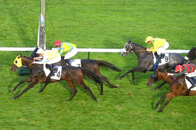 Photo d'arrivée de la course pmu PRIX DES LAVANDIERES à LONGCHAMP le Jeudi 16 septembre 2021