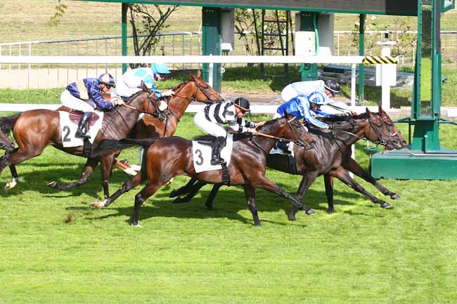 Photo d'arrivée de la course pmu PRIX DES BOUCLES DE LA SEINE à SAINT CLOUD le Samedi 18 septembre 2021