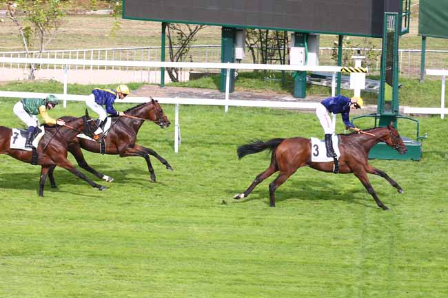 Photo d'arrivée de la course pmu PRIX VAL DE LOIR à SAINT CLOUD le Samedi 18 septembre 2021