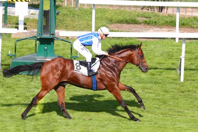 Photo d'arrivée de la course pmu PRIX TOPYO à SAINT CLOUD le Samedi 18 septembre 2021