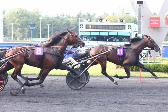 Photo d'arrivée de la course pmu PRIX DE L'ETOILE à PARIS-VINCENNES le Dimanche 19 septembre 2021