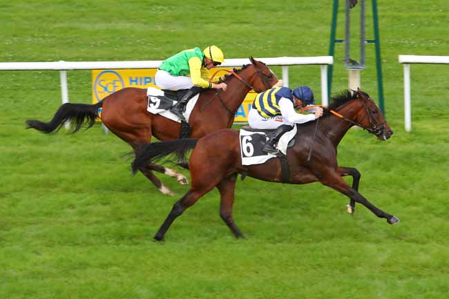 Photo d'arrivée de la course pmu PRIX DES CERFS à FONTAINEBLEAU le Lundi 20 septembre 2021
