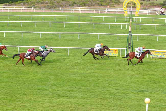 Photo d'arrivée de la course pmu PRIX DES MELEZES à FONTAINEBLEAU le Lundi 20 septembre 2021