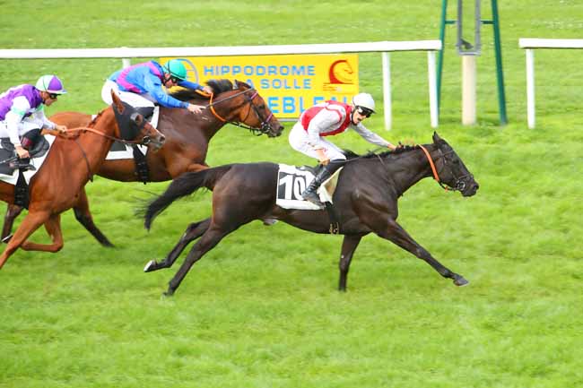 Photo d'arrivée de la course pmu PRIX DE LA LANDE DE BRUYERE à FONTAINEBLEAU le Lundi 20 septembre 2021