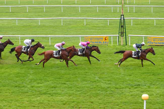 Photo d'arrivée de la course pmu PRIX DU BOIS NOTRE DAME à FONTAINEBLEAU le Lundi 20 septembre 2021