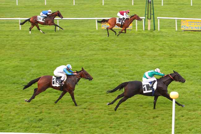 Photo d'arrivée de la course pmu PRIX DU MASSIF FORESTIER à FONTAINEBLEAU le Lundi 20 septembre 2021