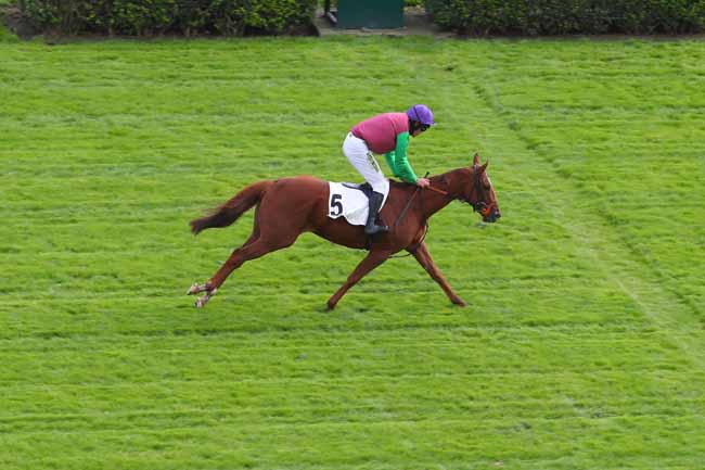 Photo d'arrivée de la course pmu PRIX KARGAL à AUTEUIL le Mardi 21 septembre 2021