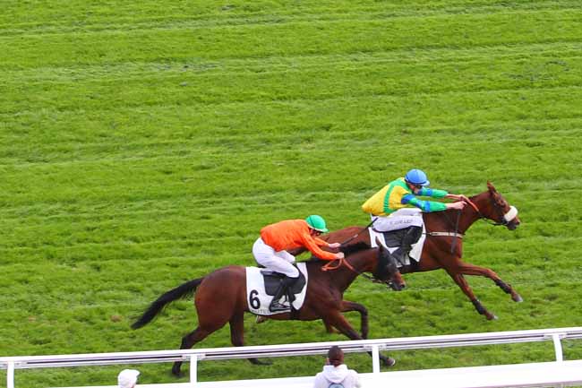 Photo d'arrivée de la course pmu PRIX LE GOURZY à AUTEUIL le Mardi 21 septembre 2021