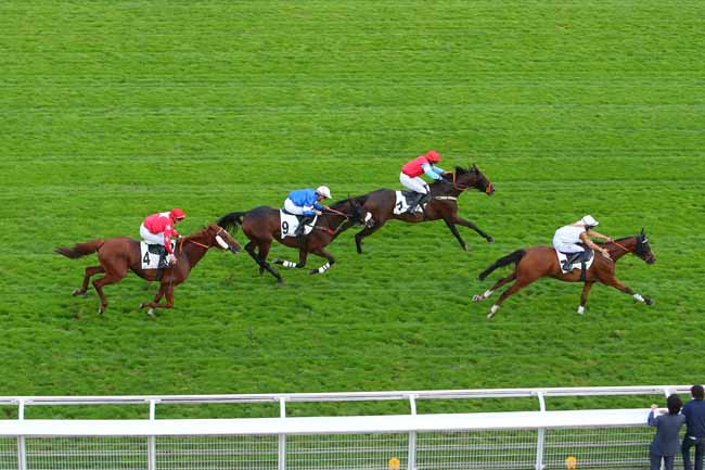Photo d'arrivée de la course pmu PRIX CHAKHANSOOR à AUTEUIL le Mardi 21 septembre 2021