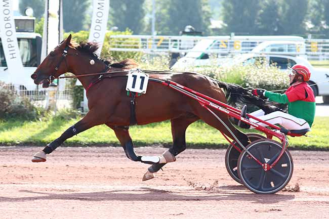 Photo d'arrivée de la course pmu PRIX MARIE POPIN'S EVENT à AMIENS le Mercredi 22 septembre 2021