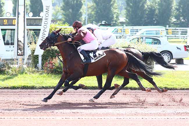 Photo d'arrivée de la course pmu PRIX DE L'ASSOCIATION PASSERELLE à AMIENS le Mercredi 22 septembre 2021