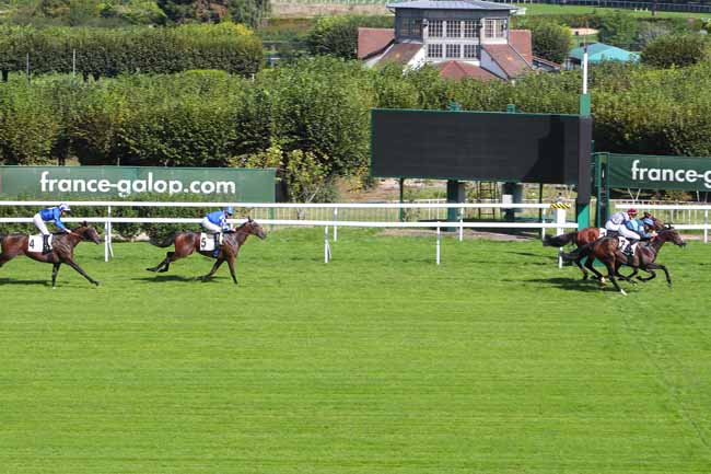 Photo d'arrivée de la course pmu PRIX PHAREL à SAINT CLOUD le Mercredi 22 septembre 2021