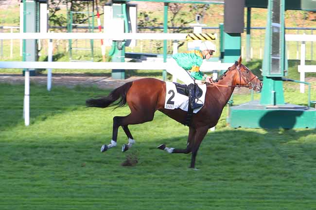 Photo d'arrivée de la course pmu PRIX DE L'ABBAYE DES VAULX DE CERNAY à SAINT CLOUD le Mercredi 22 septembre 2021
