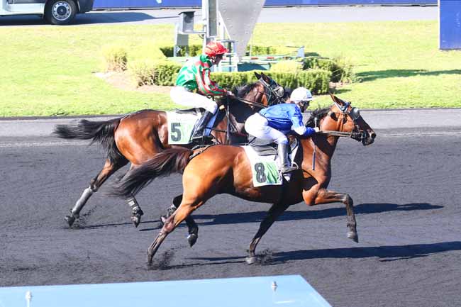 Photo d'arrivée de la course pmu PRIX GASTON ROUSSEL à PARIS-VINCENNES le Jeudi 23 septembre 2021