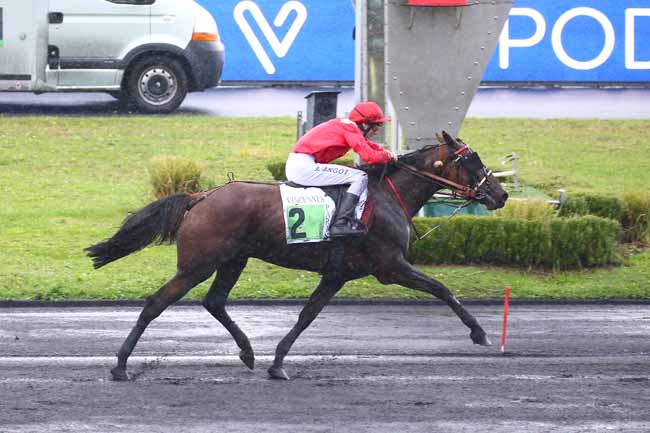 Photo d'arrivée de la course pmu PRIX GEORGES DREUX à PARIS-VINCENNES le Dimanche 26 septembre 2021
