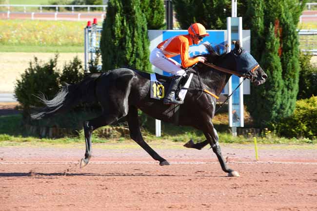 Photo d'arrivée de la course pmu PRIX JACQUES BRION à MAUQUENCHY le Lundi 27 septembre 2021