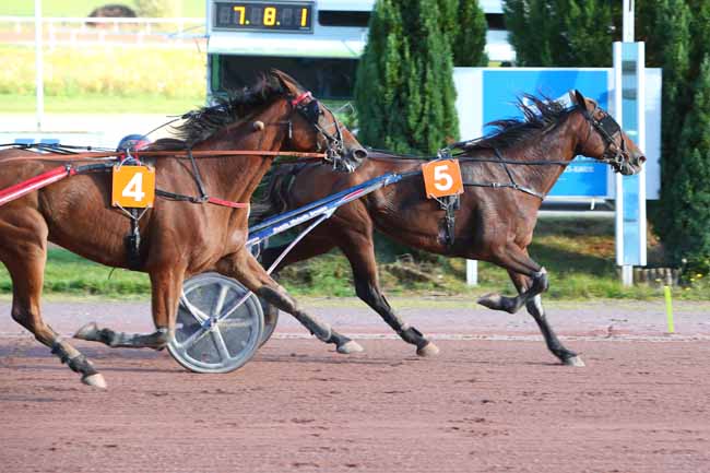 Photo d'arrivée de la course pmu PRIX MICHEL LEJEUNE à MAUQUENCHY le Lundi 27 septembre 2021
