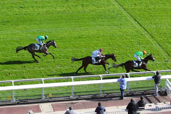Photo d'arrivée de la course pmu PRIX PRIDE OF KILDARE à AUTEUIL le Jeudi 30 septembre 2021