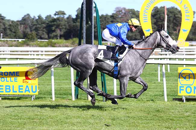 Photo d'arrivée de la course pmu PRIX DU BOURBONNAIS à FONTAINEBLEAU le Jeudi 30 septembre 2021