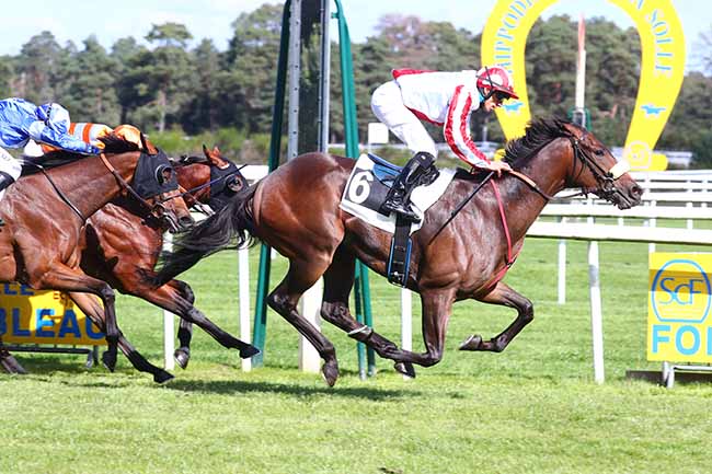 Photo d'arrivée de la course pmu PRIX DES BOSQUETS à FONTAINEBLEAU le Jeudi 30 septembre 2021