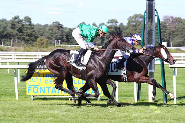 Photo d'arrivée de la course pmu PRIX DE LA PORTE NADON à FONTAINEBLEAU le Jeudi 30 septembre 2021