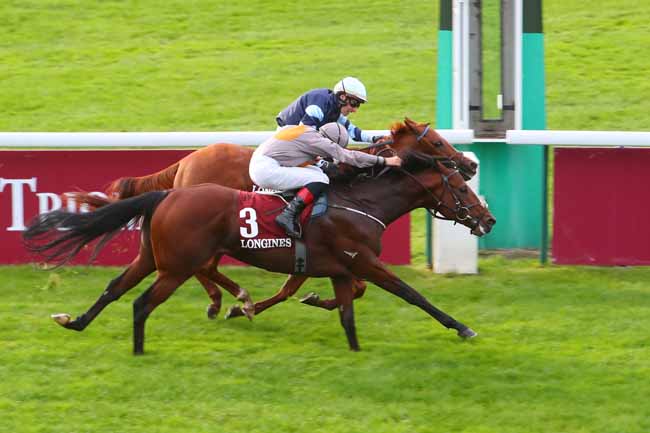 Photo d'arrivée de la course pmu PRIX DE L'ABBAYE DE LONGCHAMP LONGINES à LONGCHAMP le Dimanche 3 octobre 2021