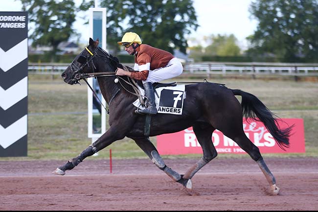 Photo d'arrivée de la course pmu PRIX SPEEDY BLUE à ANGERS le Mercredi 6 octobre 2021