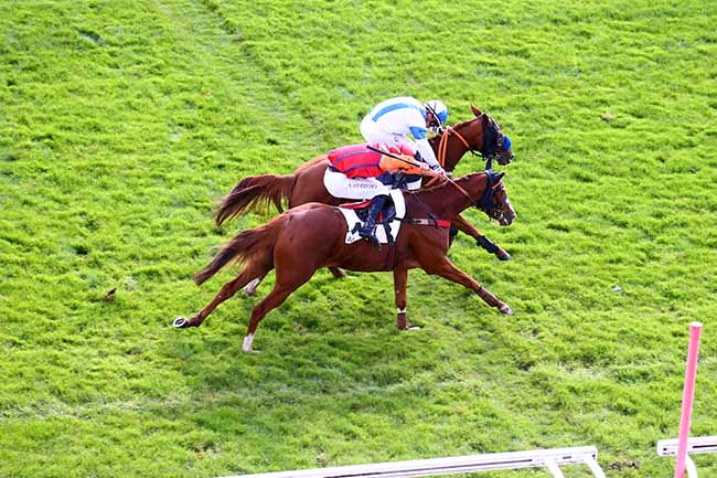 Photo d'arrivée de la course pmu PRIX DE COYE à AUTEUIL le Mercredi 6 octobre 2021
