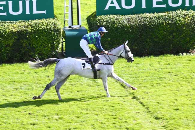 Photo d'arrivée de la course pmu PRIX DE BAGATELLE à AUTEUIL le Mercredi 6 octobre 2021